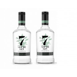 2 botellas de Ginebra - 7 de Gin