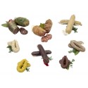 Lot: bull blanc, bull negre, i 6 botifarres (cular blanca, cular negre, blanca, negra, d'ou i de perol) - Costabona.