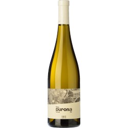 Caixa de 6 - WHITE - Celler Heretat Mont Rubí - Penedès