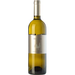 Caixa de 6 - METHÒDIC - Celler L'Apical - Penedès