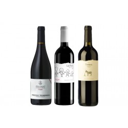 Caja de 3 botellas de vino tinto - DO Priorat
