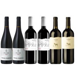 Caja de 6 botellas de vino tinto - DO Priorat